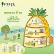 【PiPPER STANDARD】沛柏鳳梨酵素洗衣精尤加利900mlx6瓶/箱購(天然酵素溫和低敏去汙/清)