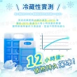 【捕夢網】保冰劑 L號(冰寶 保冷盒 冰塊磚 冰晶盒 保冰磚)