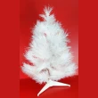 【摩達客】耶誕-2尺/2呎-60cm台灣製特級白色松針葉聖誕樹-裸樹(不含飾品/不含燈/本島免運費)
