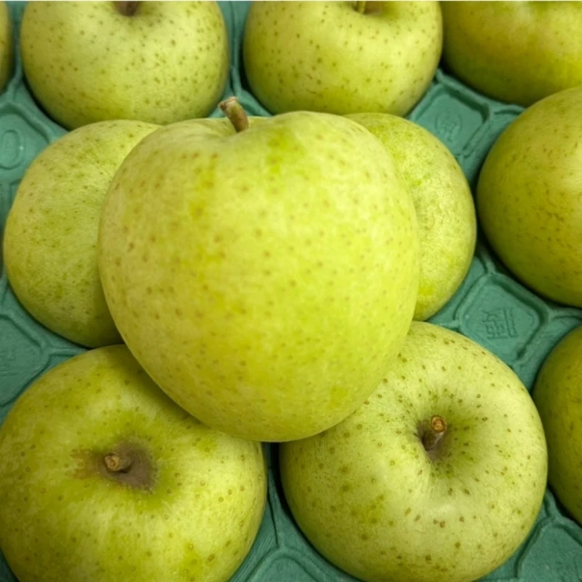FruitGo 馥果 日本青森縣王林蘋果330-390g±10%x14-16顆/箱(單層箱5.5kg±10%)