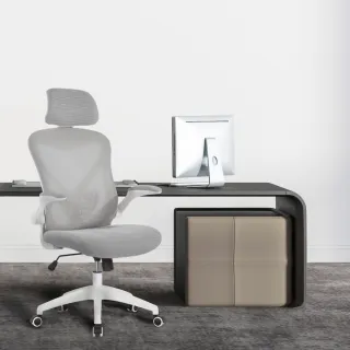【E-home】Arno亞諾網布可旋轉扶手高背電腦椅 5色可選(主管椅 辦公椅 人體工學 網美椅 透氣)