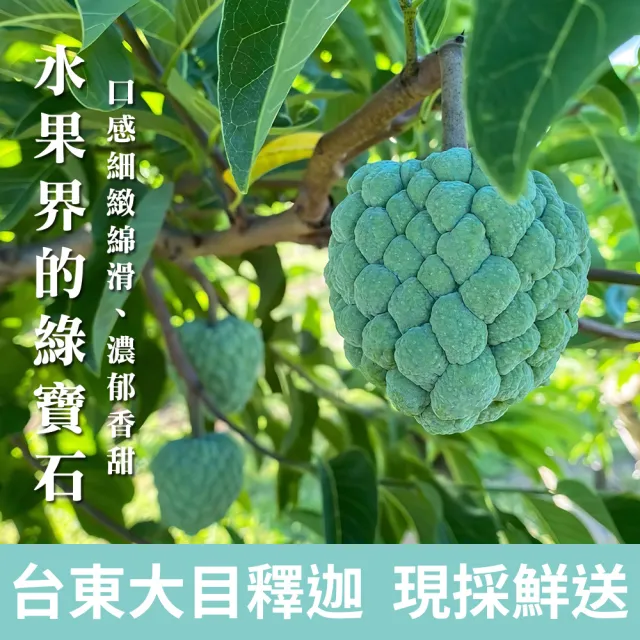 【金好迦】嚴選台東大目釋迦 A級果 5斤x4箱(5-6顆/箱)