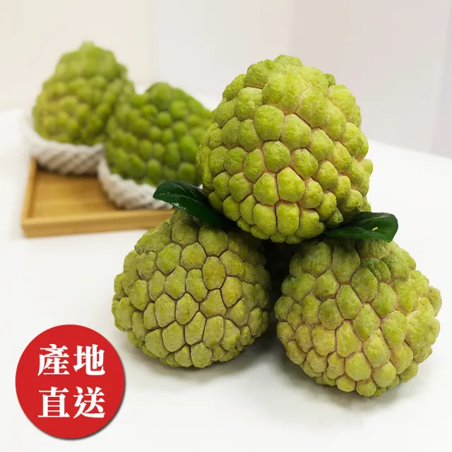 【金好迦】嚴選台東大目釋迦 A級果 5斤x4箱(5-6顆/箱)