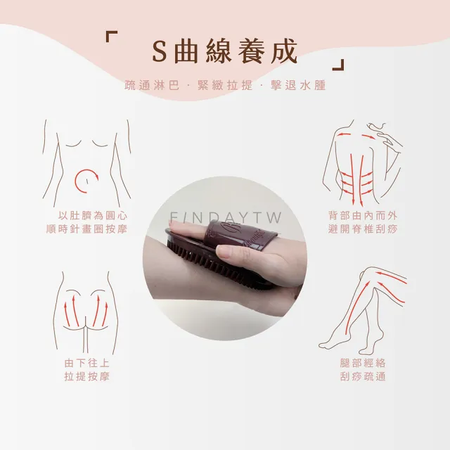 ﹝FINDAY﹞美體經絡刷 #基本款咖啡 (按摩刷｜精油刷｜經絡刷｜美體按摩刷｜經絡按摩)