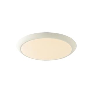 【卡米達】伊卡LED24W防蚊防塵防潮三色調色吸頂燈(CA0757．24W)