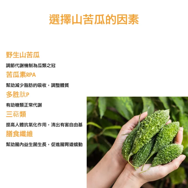 【U-LEAD 優力 平穩茶包】TIP松露蛋白 X 苦瓜胜肽