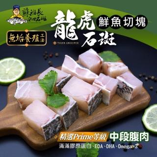 【蘇班長安心石斑】龍虎石斑鮮魚切塊500g 3入組 歐盟食安標準 得獎最多的石斑(符合歐盟標準 三規食安認證)