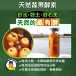 【蘇班長安心石斑】龍虎石斑鮮魚切塊500g 3入組 歐盟食安標準 得獎最多的石斑(符合歐盟標準 三規食安認證)