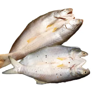 【佐佐鮮】一夜干午仔魚5包組(每包240g共5包 原味\馬告 古法醃料 日本居酒屋 燒烤 煎炸)