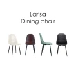 【E-home】四入組 Larisa萊麗莎簡約餐椅 四色可選(餐椅 工業風)