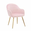 【E-home】亞里典雅絨布餐椅 3色可選(休閒椅 網美椅 會客椅)