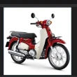 【HONDA 本田】SUPER CUB110 2024款(白牌檔車/機車/平輸車)