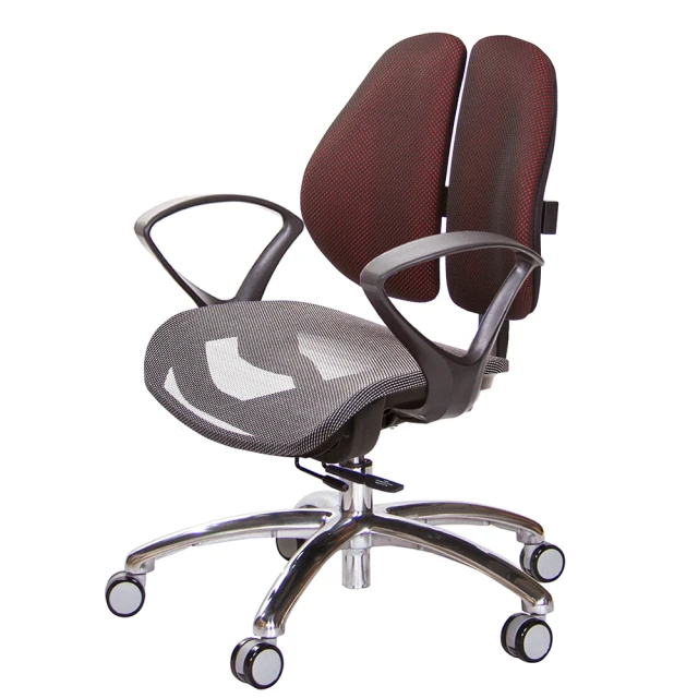 GXG 吉加吉GXG 吉加吉 低雙背網座 工學椅 鋁腳/D字扶手(TW-2805 LU4)