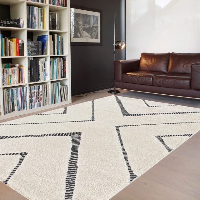 范登伯格 比利時 FARA 3D浮雕簡約地毯-相對(160x