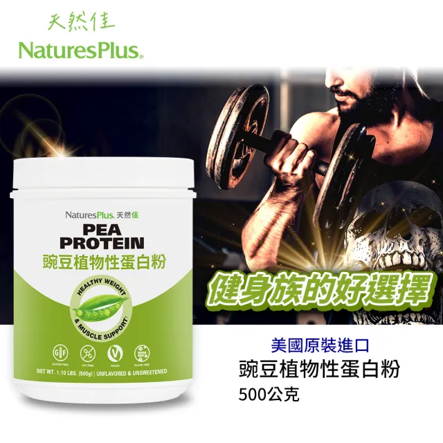 【美國 NaturesPlus 天然佳】豌豆植物性蛋白粉 2入組(2入/共1000公克 機有素食高蛋白)