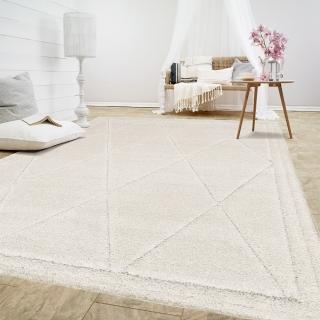 【範登伯格】比利時 FARA 3D浮雕簡約地毯-菱紋(200x290cm)