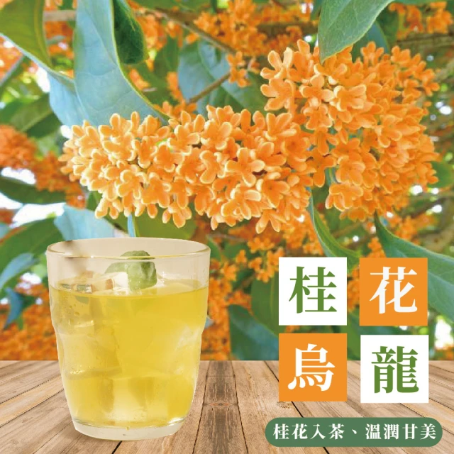 iTQi 定迎 阿里山烏龍茶75g*6罐(彭湃組)優惠推薦