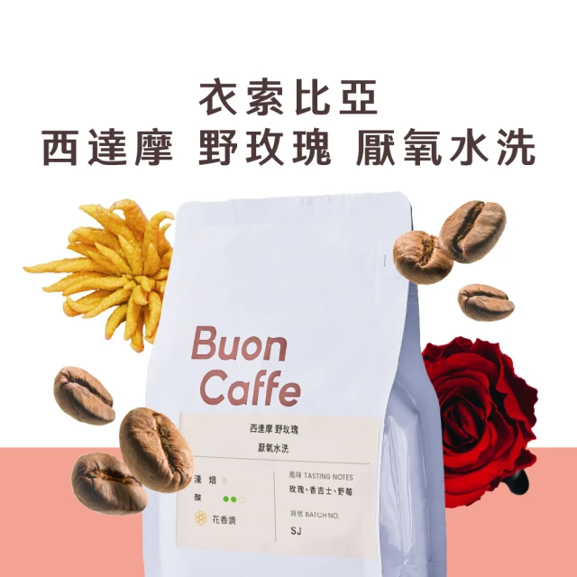 Buon Caffe 步昂咖啡 衣索比亞 西達摩 野玫瑰 厭氧水洗 淺焙 花香調 精品咖啡(半磅;227g/新鮮烘焙)