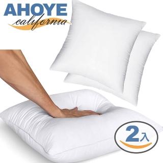 【AHOYE】200G厚磅純白抱枕芯 30*30cm-2入組 沙發靠枕 枕頭