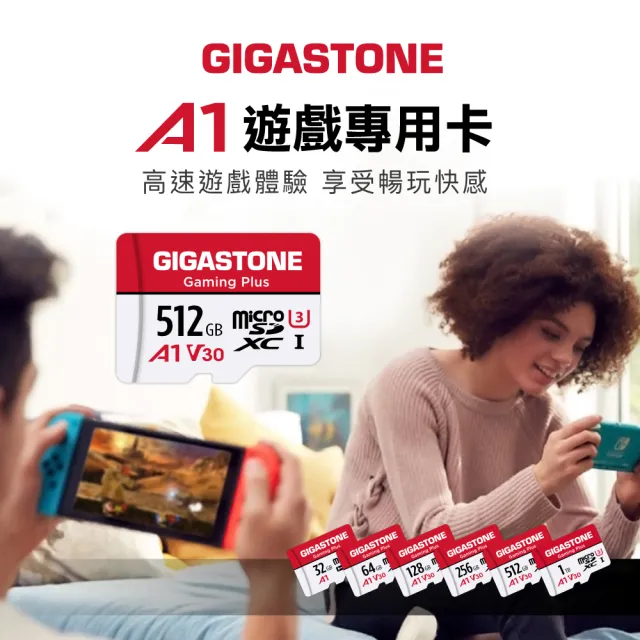 【GIGASTONE 立達】Gaming Plus microSDXC UHS-Ⅰ U3 A1V30 256GB遊戲專用記憶卡-2入組(支援Switch/GoPro)