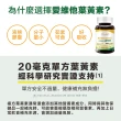 【Lovita 愛維他】金盞花萃取物含葉黃素20mg 6入組(共180顆)