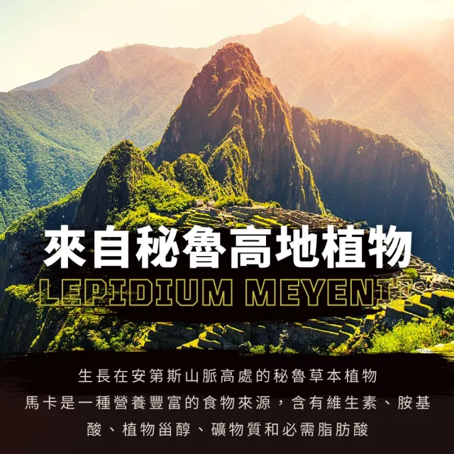 【Puritan’s Pride】四倍濃縮金鑽馬卡•膠囊