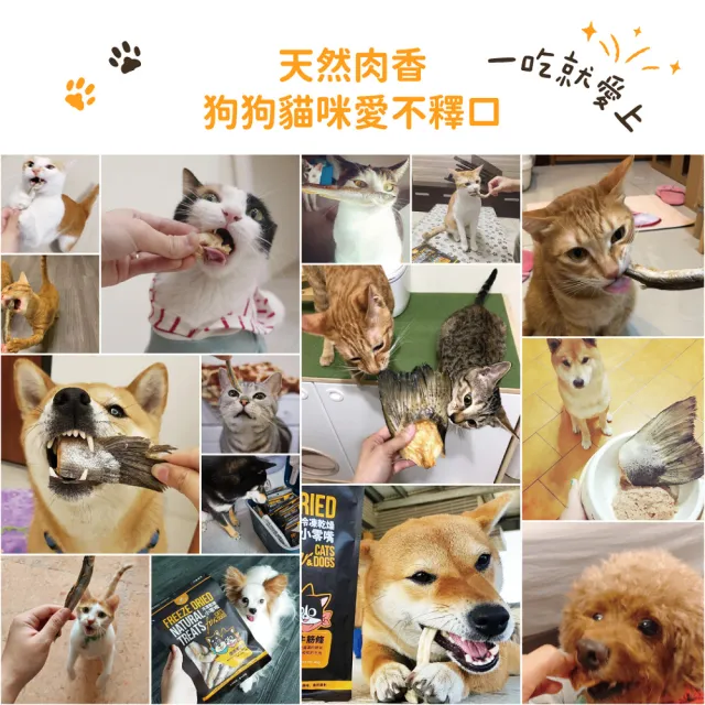 【汪喵星球】犬貓冷凍乾燥原肉零食-台灣鮮脆卷40g/罐(犬貓零食)