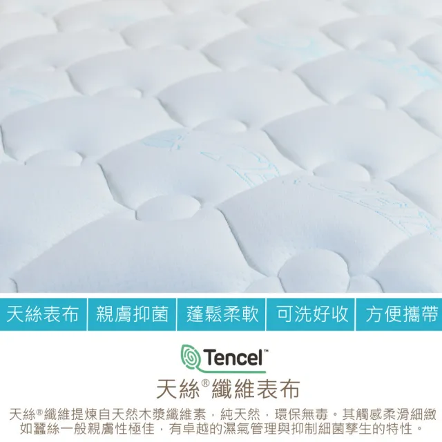 【LooCa】抗菌天絲加厚日式床墊(雙人5尺)
