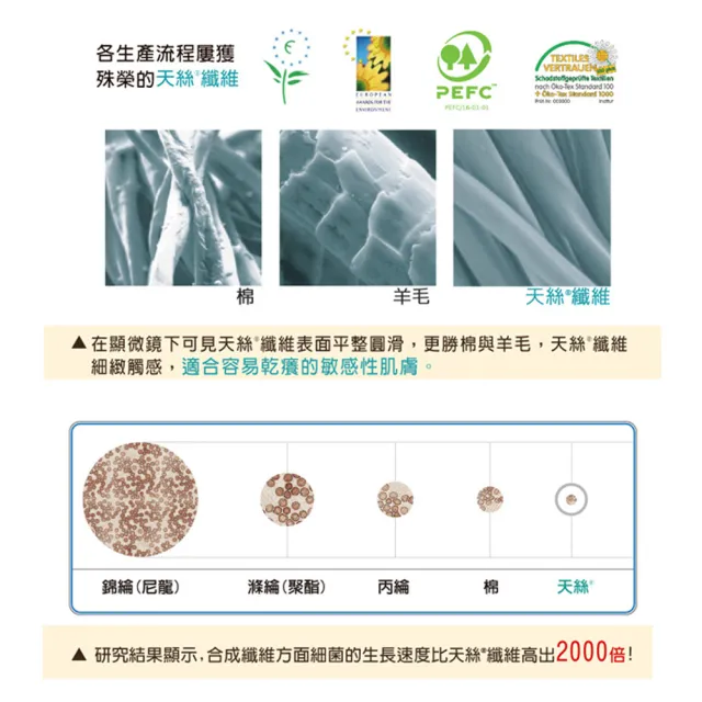 【LooCa】抗菌天絲加厚日式床墊(雙人5尺)