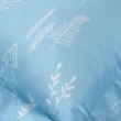 【JIAS LIVING 家適居家】100%天絲-迪士尼野餐奇遇記床包枕套三件組-兩款（特大）(米奇 米妮 卡通)