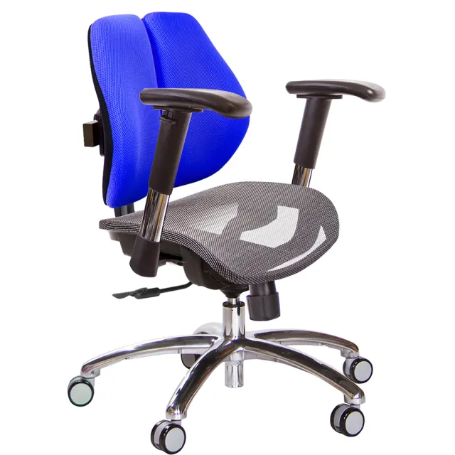 【GXG 吉加吉】低雙背網座 鋁腳/2D滑面金屬扶手 電腦椅(TW-2803 LU6)