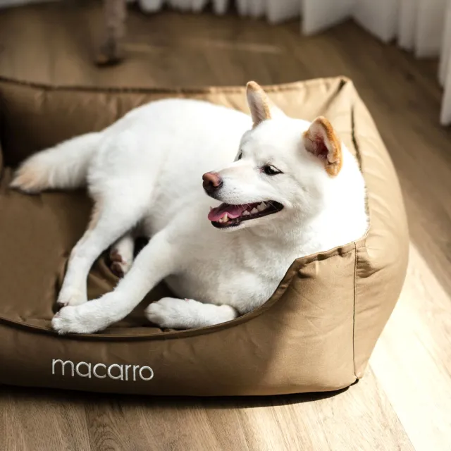 【macarro馬卡兒寵物】乳膠寵物床 L號-純棉款(三種顏色)