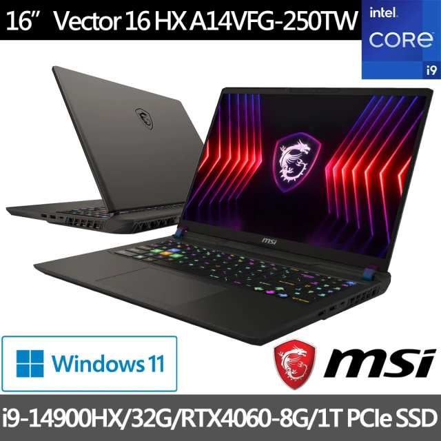 MSI 微星 16吋i9 RTX4060電競筆電(Vector16 HX/i9-14900HX/32G/1TB SSD/W11/A14VFG-250TW)