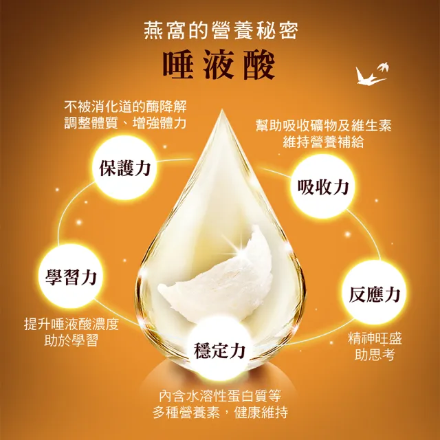 【廣生堂】龍紋天燕盞(100g 送現金提貨券 1000X1)