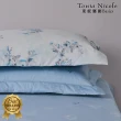 【Tonia Nicole 東妮寢飾】100%精梳棉六件式兩用被鋪棉床罩組-琉璃花苑(雙人)