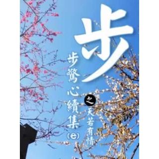 【momoBOOK】步步驚心續集之天若有情 7 【原創小說】(電子書)