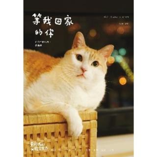 【momoBOOK】黃阿瑪的後宮生活：等我回家的你(電子書)