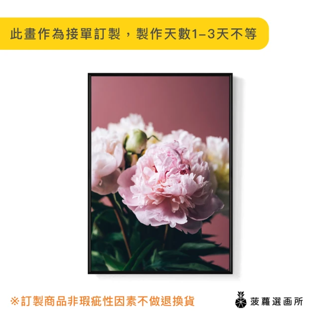 菠蘿選畫所 粉與白•牡丹II-70x100cm(招福吉祥花卉掛畫/高貴典雅花卉攝影客廳裝飾畫/辦公室掛畫)