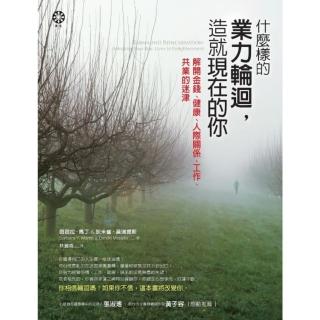【momoBOOK】什麼樣的業力輪迴 造就現在的你：解開金錢、健康、人際關係、工作、共業的迷津(電子書)