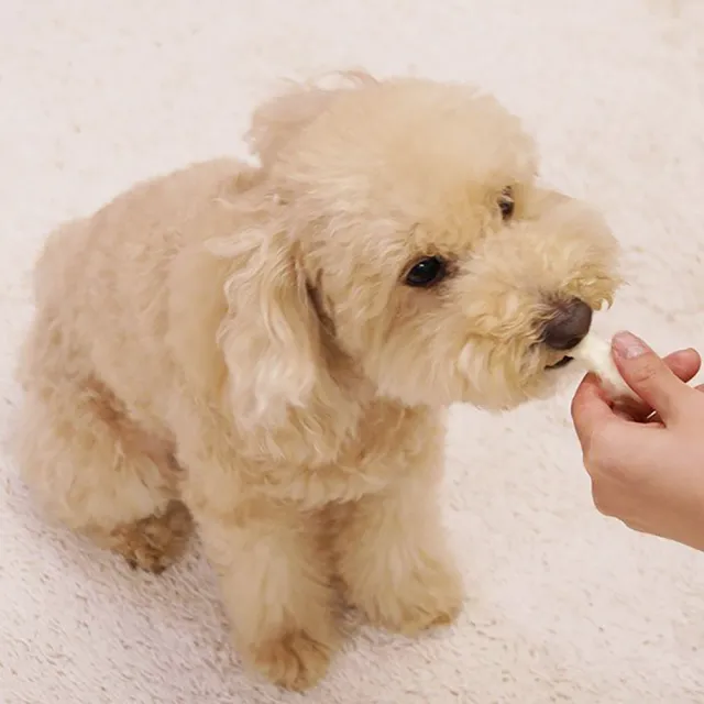 【Doggy Man】犬用Hello乳香牛奶條 6入(寵物零食)