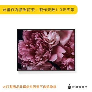 【菠蘿選畫所】暗調‧宏觀牡丹 - 30x40cm(招福吉祥花卉掛畫/花卉攝影/高貴/典雅/客廳裝飾畫/辦公室掛畫)