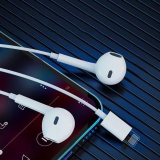 【apple 蘋果】耳機 lightning 直插直用(線控/入耳式/iphone/不需連接藍芽)