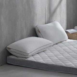 【Darphia 朵法亞】超值兩入組-銀粒子棉眠枕 可水洗獨立筒枕2.0 贈洗衣袋(臺灣製造/抗菌防/尺寸精準)