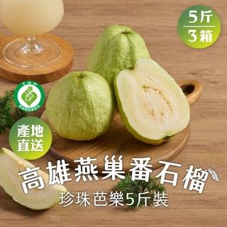 【匯通果菜合作社】高雄燕巢番石榴5斤x3箱(約6-8顆/箱 產銷履歷 珍珠芭樂 產地直送 常溫 年節禮盒送禮)(中