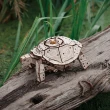 【Fuwaly】白俄羅斯EWA木質模型-免電力走走雷霆龜(木質模型 DIY組裝 烏龜 免電力 家飾擺設 禮物)