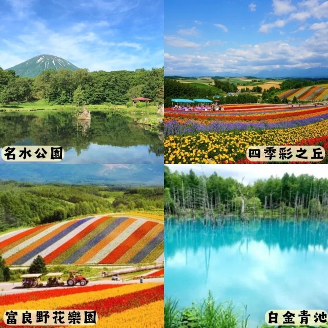 喜鴻假期 【星愛繽紛北海道5日】鑽石夜景、七彩富良野、小農採