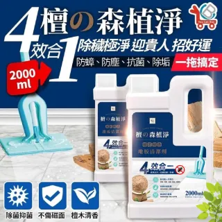 【You Can Buy】琥珀檀香 4效合1 防蟑抗菌地板清潔劑(2000mlx12瓶)