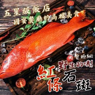 【一手鮮貨】紅條石斑(1尾組/單尾600-800g)