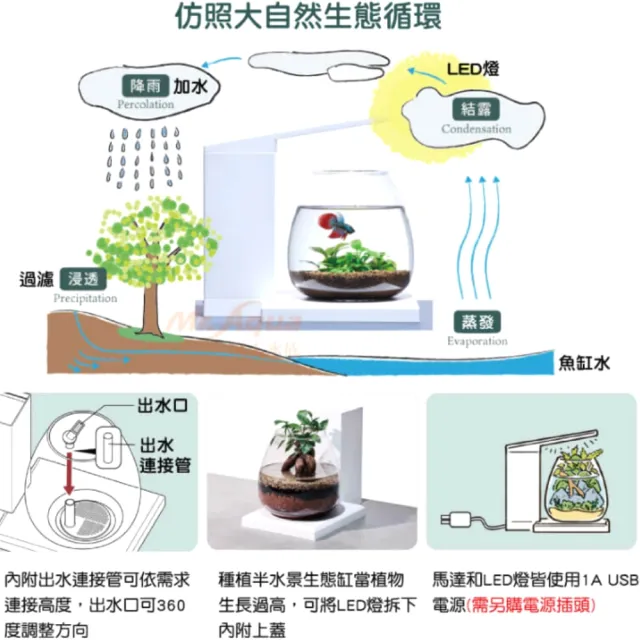 【GEX五味】景觀生態缸 PERCO 智能/低水位過濾設計/半水景/高質感外觀/魚缸(馬達和LED燈皆使用1A的USB電源)
