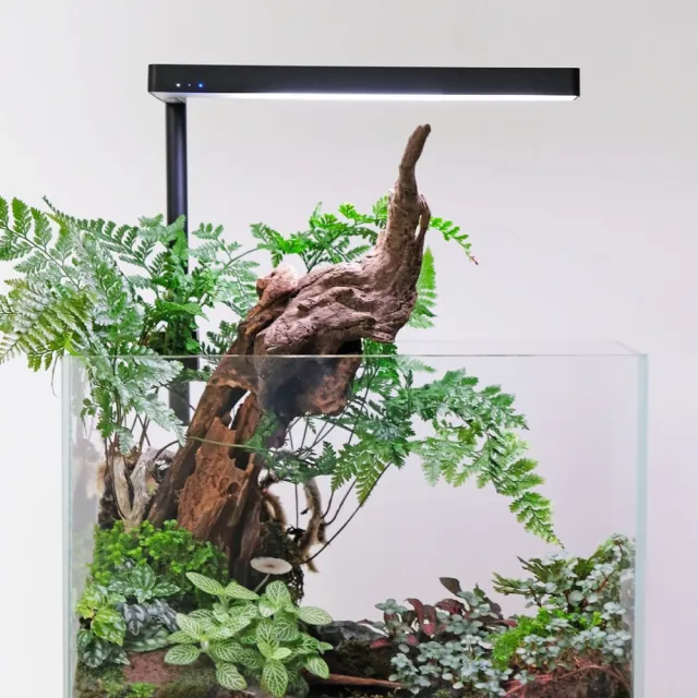 ONF 光之間】ONF Flat Nano+ 智慧水陸植物培育燈具(App控制) - momo